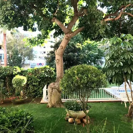 Apartman Steps From The With Pool & Parking Marbella